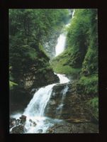 Diesbach, Diesbach-Fall