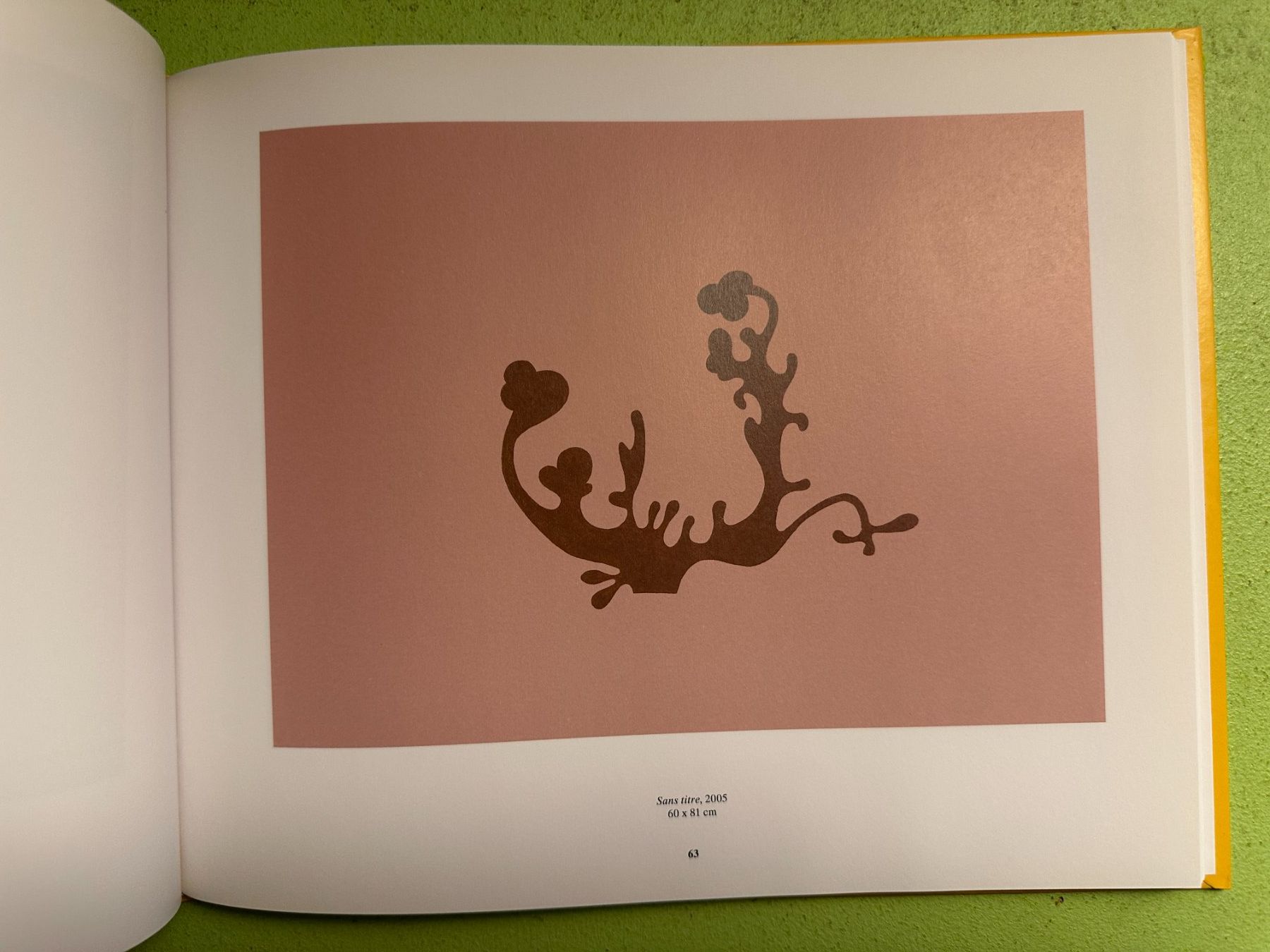 Libri: Sylvie Fanchon. Texte: Vincent Pécoil. – Usato da Zürich venduto da allp 6