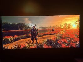 ASUS ROG PG348Q  Curved Gaming Monitor 34 (UltraWide) 