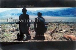 Gus van Sant (1952) Regisseur - Autogramm