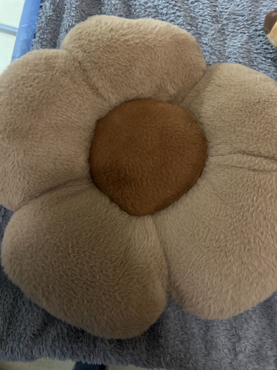 Jouets: Plüschtiere capybara – D'occasion à Laufen par Nachlasverkauf 3