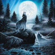 Profile image of Greywolf.