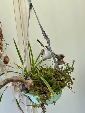 Piante & sementi: Blumenampel – Nuovo (secondo la descrizione) da Frauenfeld venduto da Irene.Schuppli
