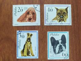 Polen (-35%) - Hunde