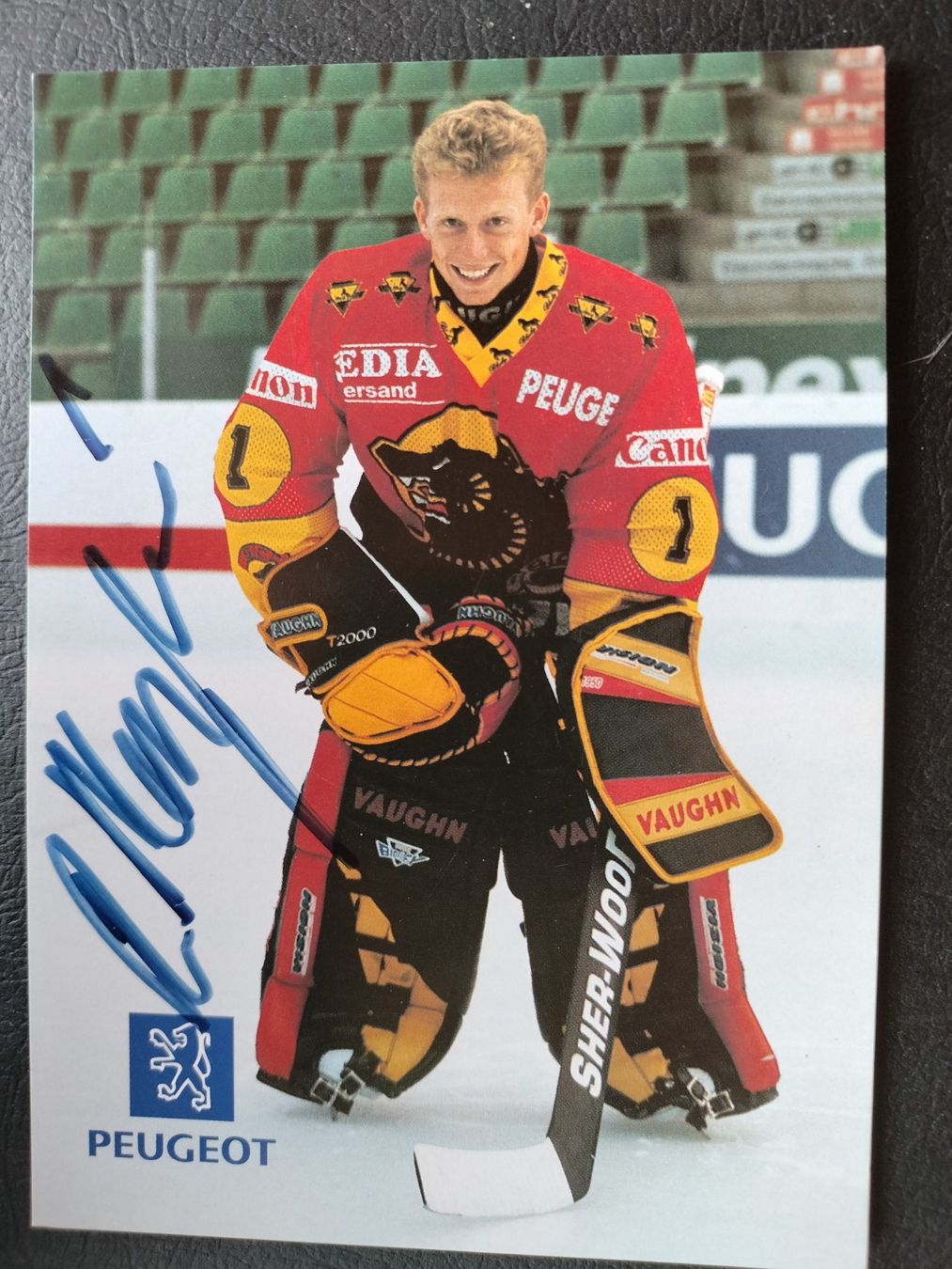 Autografi: SC Bern, SCB Autogrammkarte, Roland Meyer – Usato da Schwanden Sigrisw venduto da len_9yqg