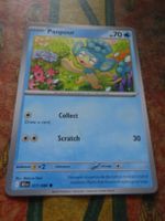 POKEMON  Panpour   I BLK EN  017/086   HP70   2025