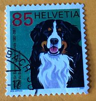 Nr.1227 Berner Sennenhund GESTEMPELT Sondermarken 2007   