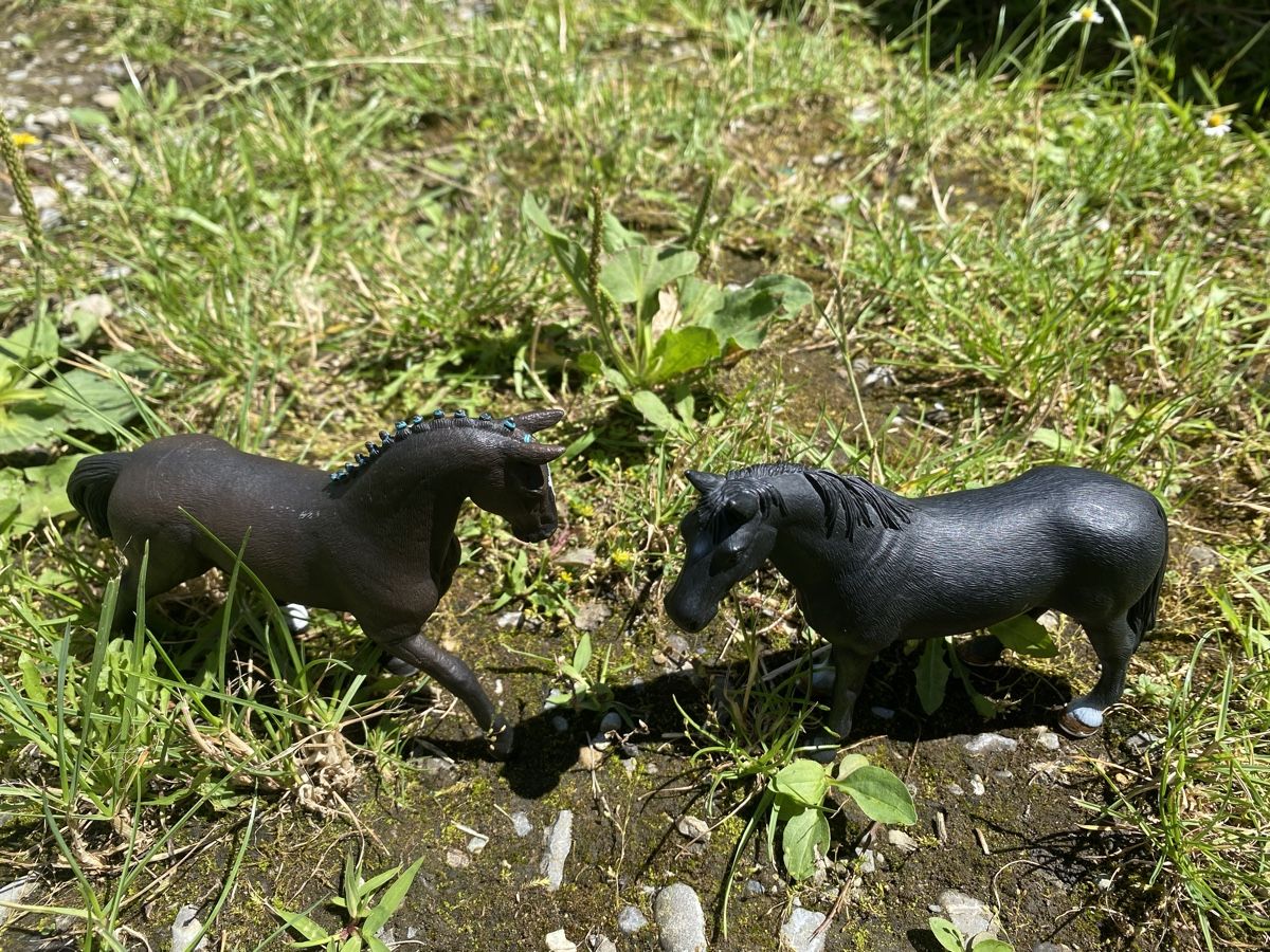 Schleich Giocattoli: Zwei Schleich Pferde – Usato da Müllheim Dorf venduto da chol7