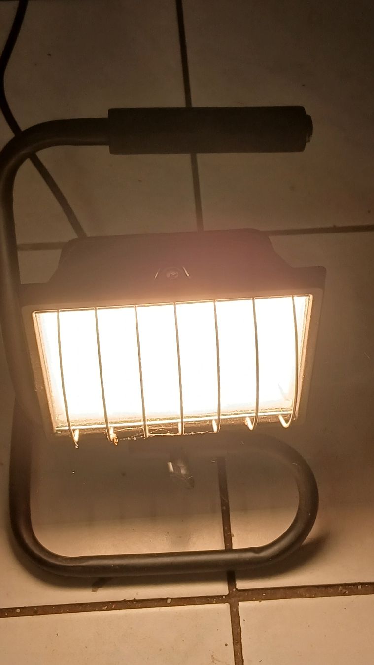 Fari: Halogen scheinwerfer  – Usato da Goldingen venduto da Soli8638 1