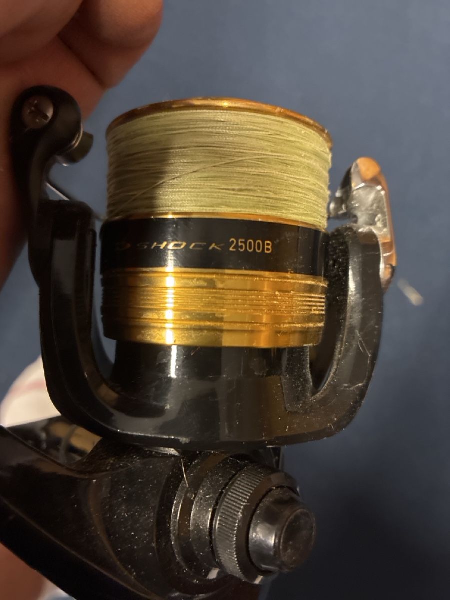 Daiwa Canne da pesca: Daiwa Angelrute inkl. Rolle – Usato da Balgach venduto da Organisator 3