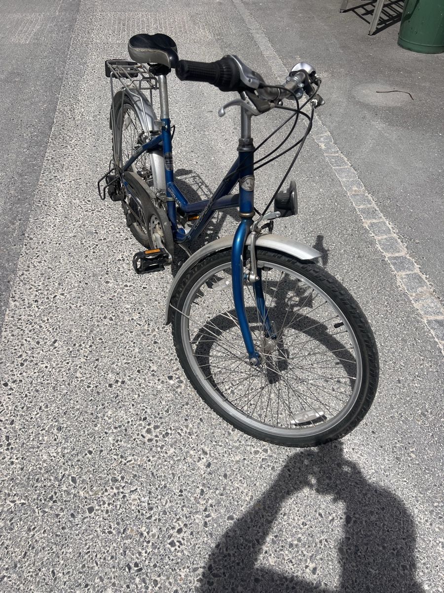 Biciclette: Fahrrad Spider Cat II Kinderfahrrad – Usato da wildegg venduto da FabrikWildegg 1