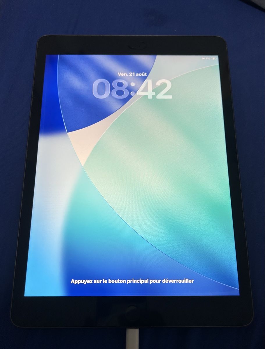 Apple Tablet PC: Ipad 8 32Gb – Usato da L'Isle venduto da DanielGed