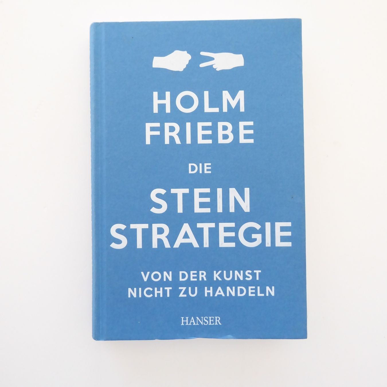 Libri: Die Stein Strategie - Holm Friebe – Usato da Basel venduto da Kunterbunt12