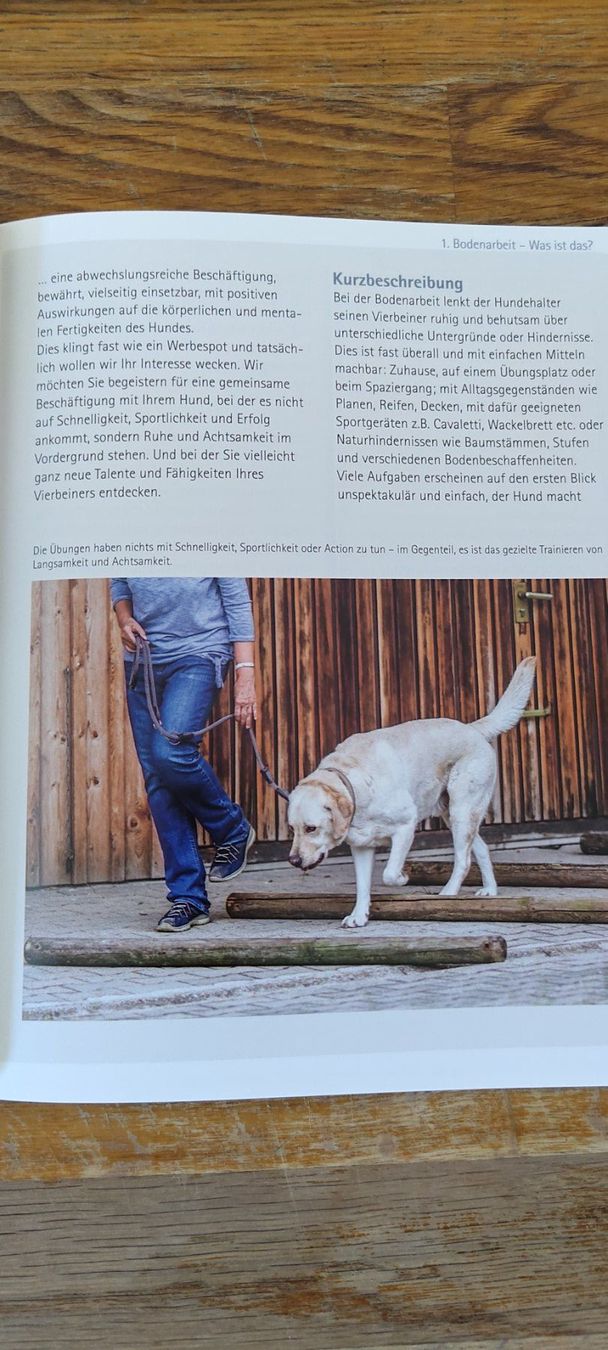 Libri: Bodenarbeit mit Hunden – Usato da Meinisberg venduto da leo122 2