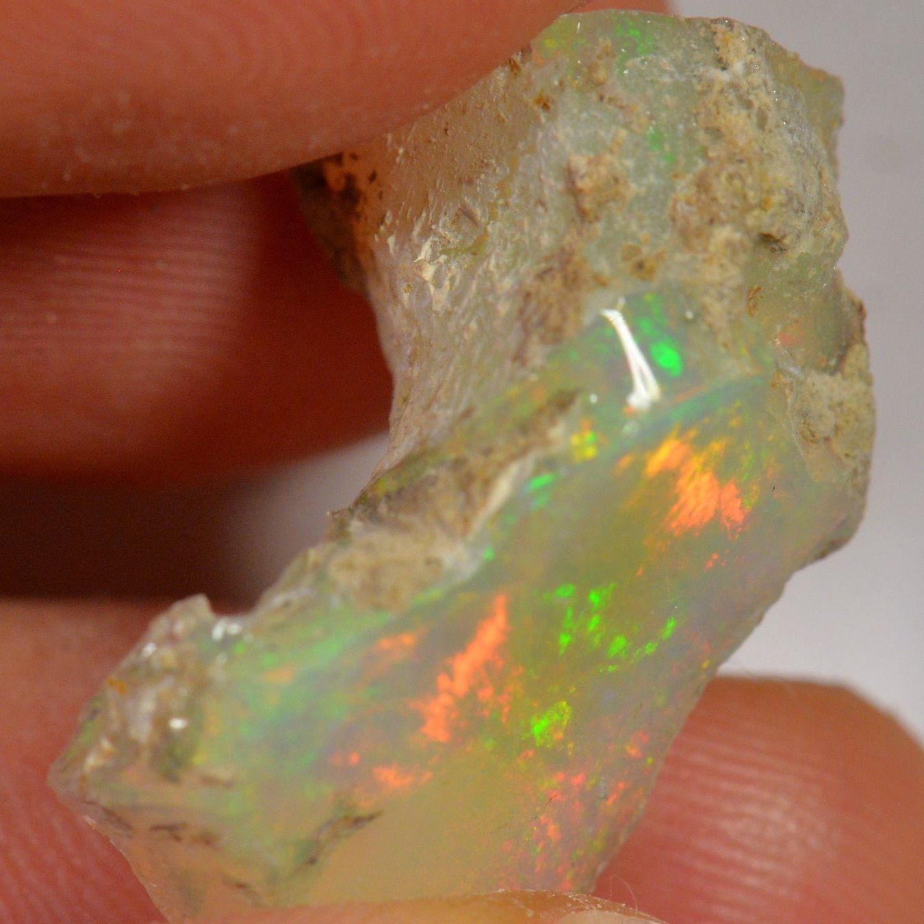 Pietre preziose: 15.8 Karat - Roher Äthiopischer Welo Opal – Nuovo (secondo la descrizione) da Rüti ZH venduto da DeinOpal 2