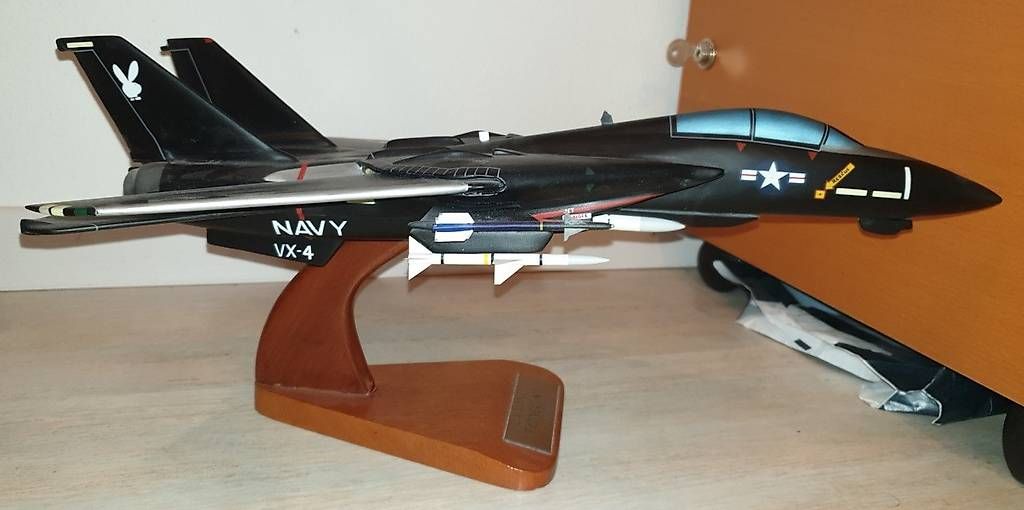 Kit di modellismo & Modellini statici: F14 Tomcat Holz Modell – Usato da Hedingen venduto da Seikai