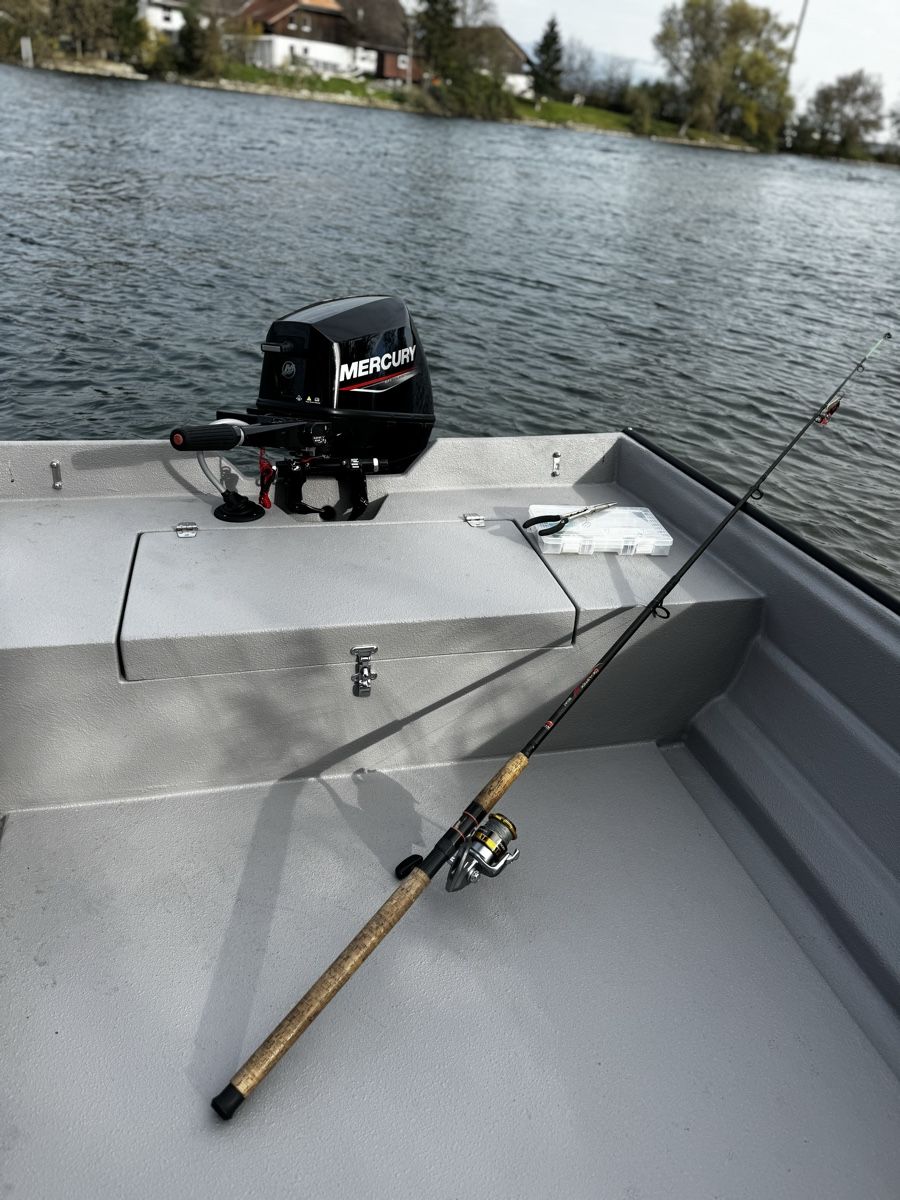 Barche: Swiss Fish Motorboot mit Mercury 8ps EFI – Nuovo (secondo la descrizione) da Solothurn venduto da Eduka72 1