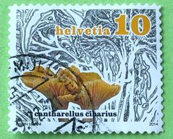 Nr.1503 Dauermarken Pilze GESTEMPELT 2014  