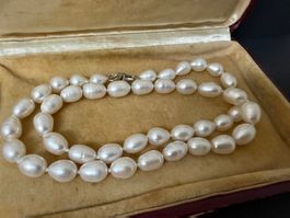 Echte Perlen Kette mit Silber Verschluss 925