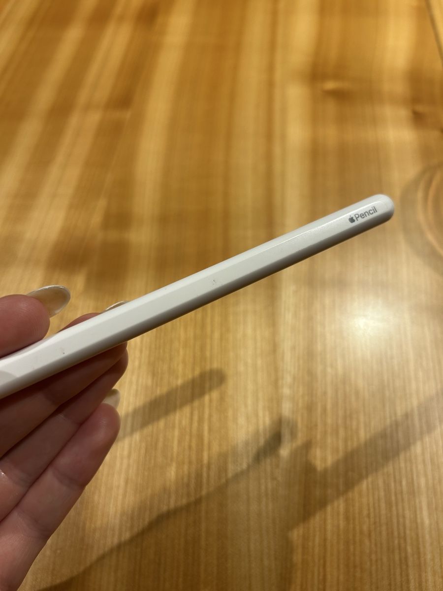 Apple Stylos & Marker: Apple Pencil (2nd Generation) – D'occasion à Effretikon par nicole_123456 2