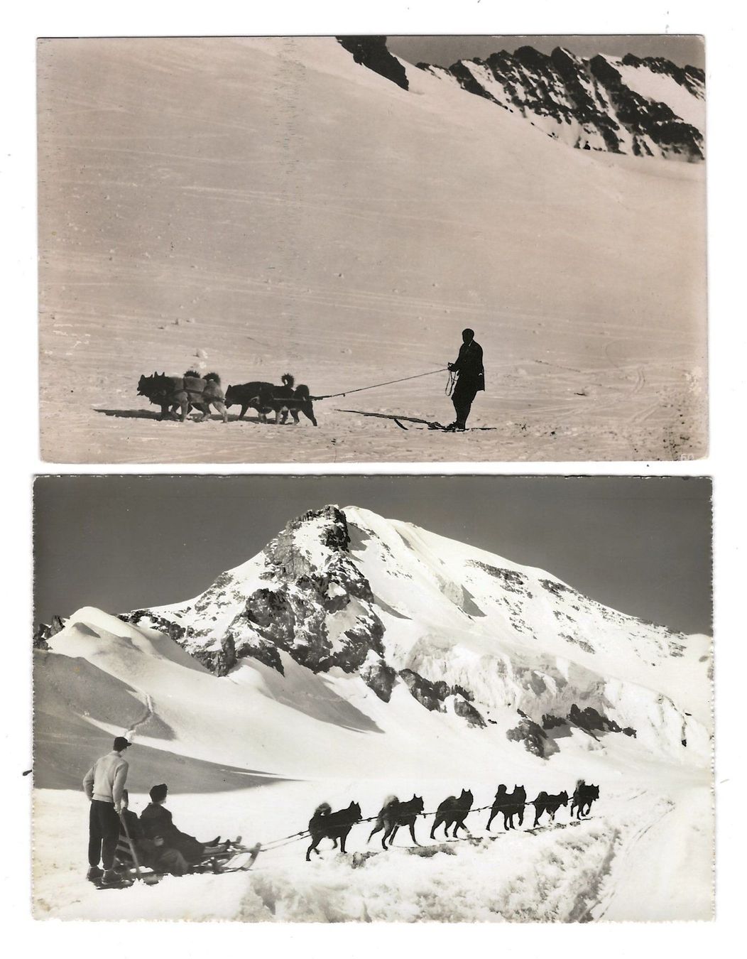 Cartoline postali: 2 x Jungfraujoch, Polarhunde, 1917 – Usato da Frauenfeld venduto da Merk52