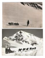 2 x Jungfraujoch, Polarhunde, 1917