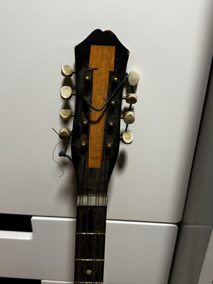 Strumenti musicali: Mandoline Saiteninstrument   – Usato da Schlieren venduto da Eldi84 2