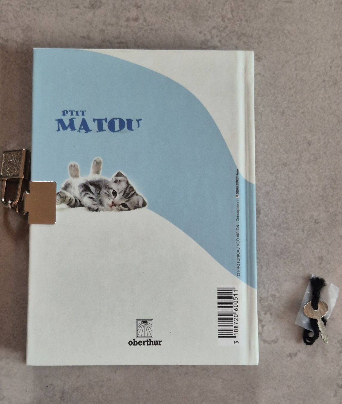 Libri: Neues Katzen Tagebuch mit Schlüssel  – Nuovo e nell'imballaggio originale da Höfen b. Thun venduto da enr_7xsd 1