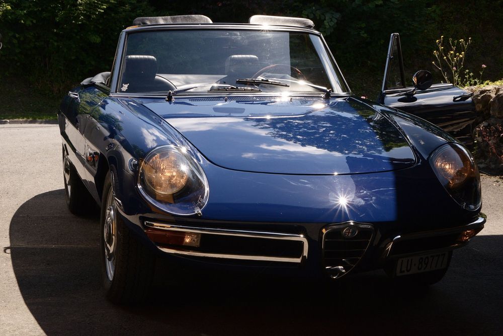 Alfa Romeo Spider (Duetto, Osso di Seppia) Comprare su Ricardo