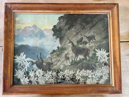Jagdszene mit echten Edelweiss