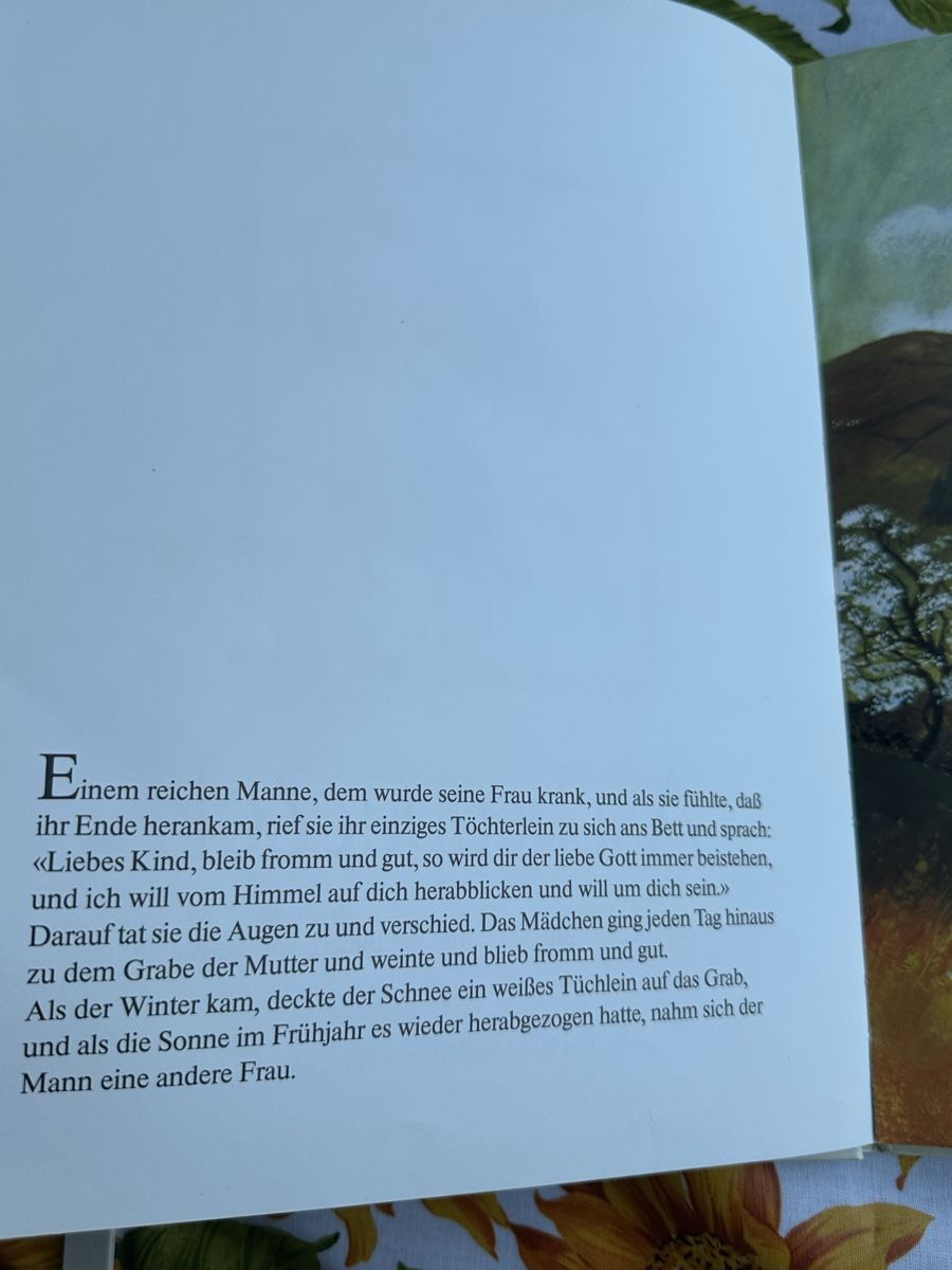 Libri: Aschenputtel, Gebrüder Grimm, Bilderbuch – Usato da Wettingen venduto da hak_52m8 1
