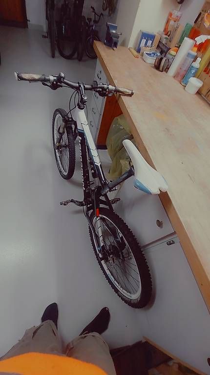 Biciclette: Bike Bergamont – Usato da Ittenthal venduto da Wico1999 1