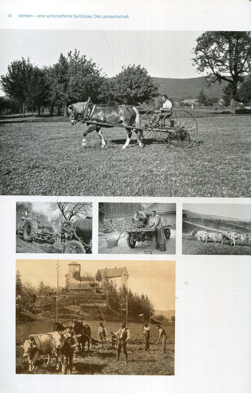 Libri: Veltheim, Heimatbuch – Usato da Aarau venduto da Elmaar41 2