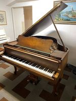 Steinway & Sons S-155 Chippendale Occasion