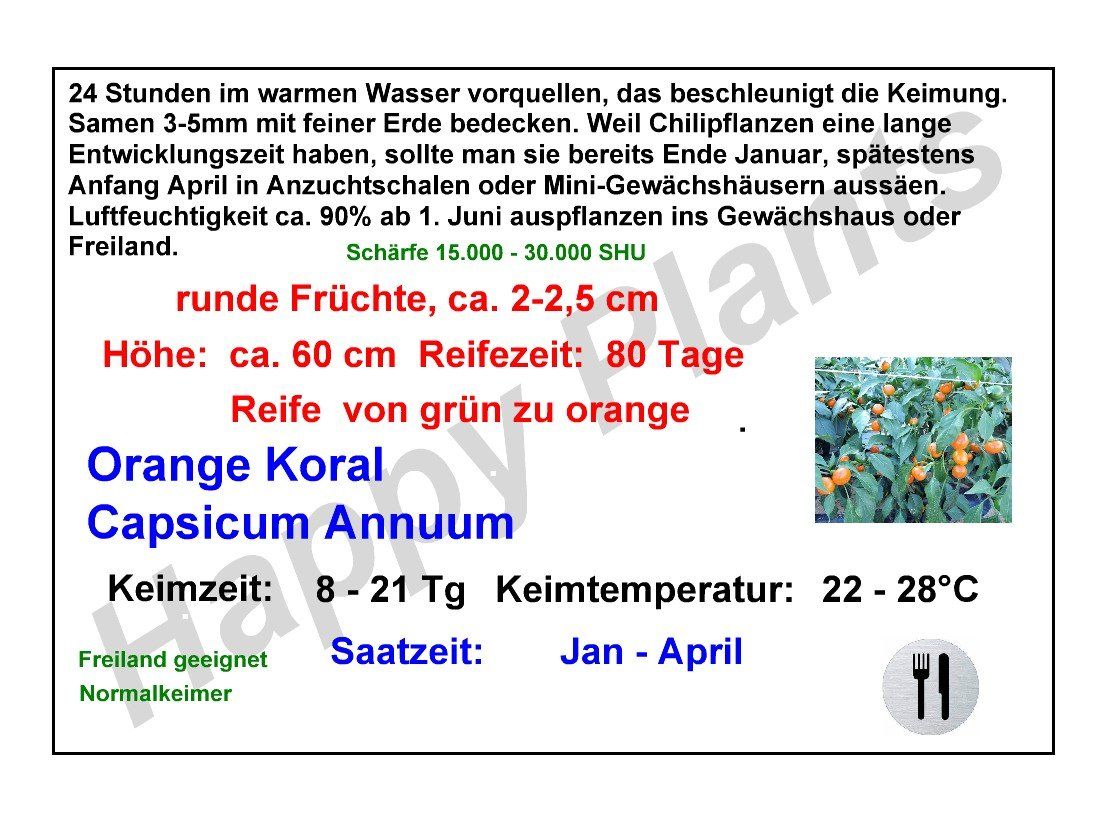 Pflanzen & Samen: Orange Koral Peperoni - Capsicum annuum - 30 Samen – Neu und originalverpackt aus Sumiswald von Cham14559 2
