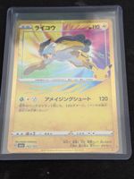 Pokémon 30th anniversary Raikou JP