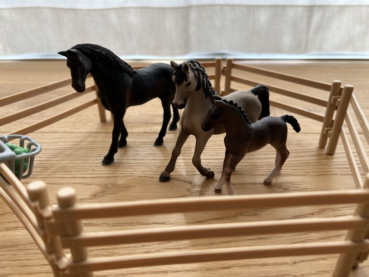 Schleich Spielzeuge: Schleich Springparcour – Gebraucht aus Rafz von  3