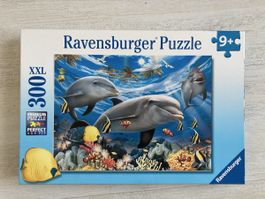 Puzzle von Ravensburger 9+