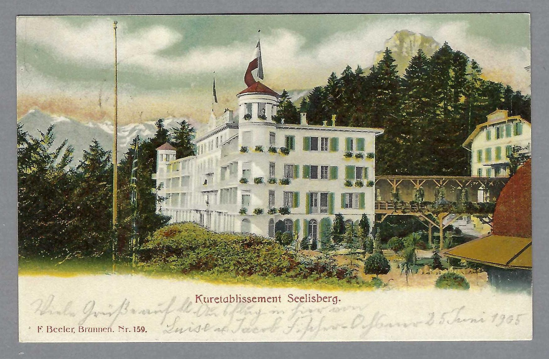 Cartoline postali: 1905, SEELISBERG KURETABLISSEMENT – Usato da Pura venduto da ulisse1957