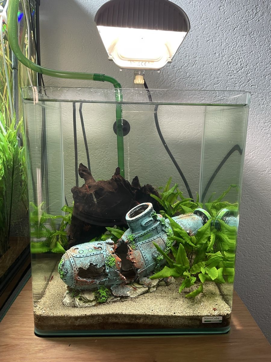 Lampade: Lampe pour aquarium – Usato da Ogens venduto da ced_qn5v