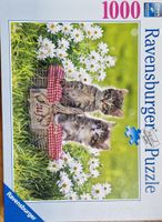 Ravensburger 1000er Puzzle