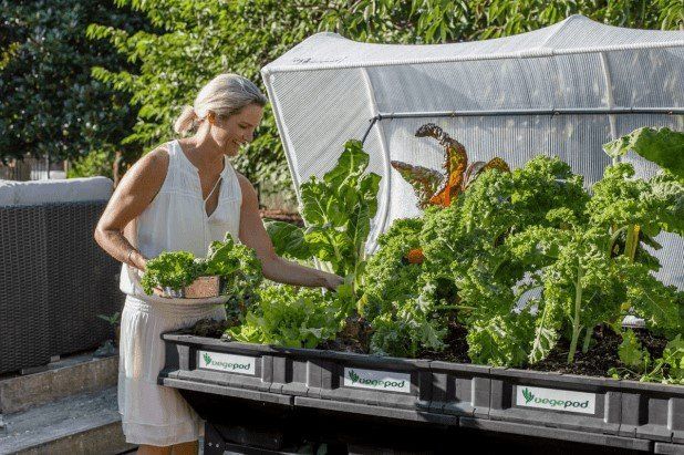 Coffres de rangement: Vegepod Hochbeet mit Bewässerung – D'occasion à Kloten par viokul
