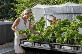 Vegepod Hochbeet mit Bewässerung