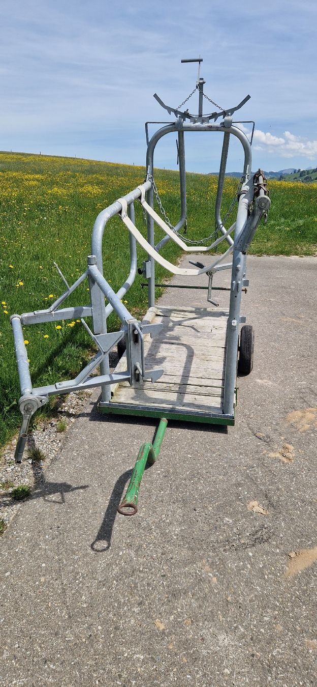 Tutte le macchine: Klauenpflegestand – Usato da Ricken SG venduto da Tonl 2