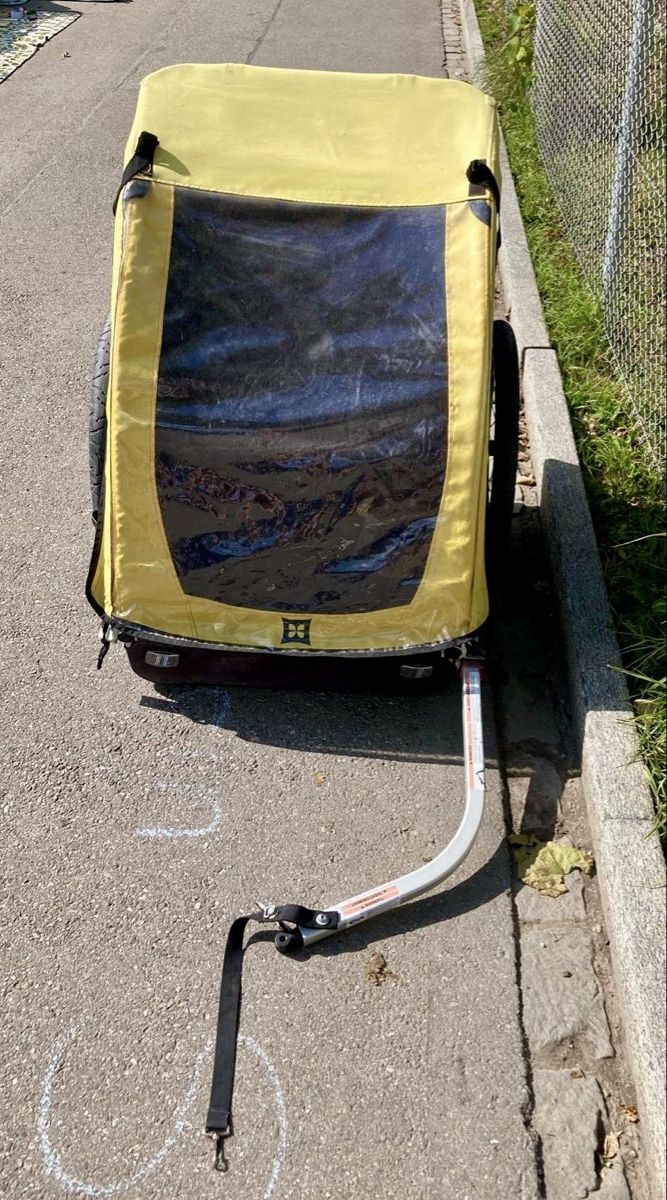 Burley Rimorchi: Fahradanhänger – Usato da Zürich venduto da des_bv89 5
