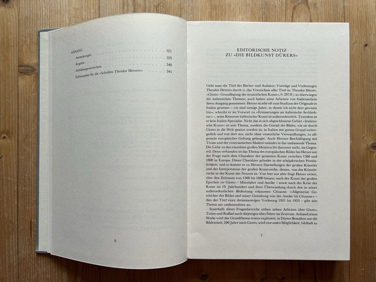 Libri: Theodor Hetzer - Die Bildkunst Dürers – Usato da Himmelried venduto da rasmus67 4