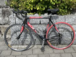 Kuota Kharma Rennvelo, Ultegra, Top Zustand, Sofort! (53)