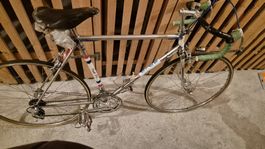 Rennvelo Del Po 55cm Rahmen gross