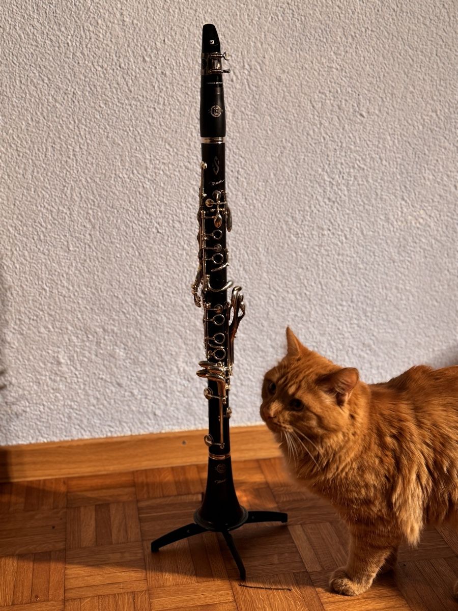 Selmer Strumenti musicali: Klarinette Bb "Muse" von Selmer – Usato da Ossingen venduto da iseiler 6