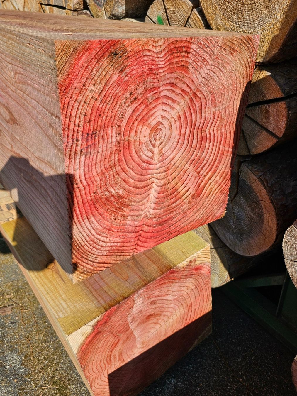 Articoli in legno: Holzquader – Nuovo (secondo la descrizione) da Aarburg venduto da Joerg.Andre 3
